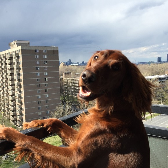 Meet your Posher, Christine - Picture 1 of 1